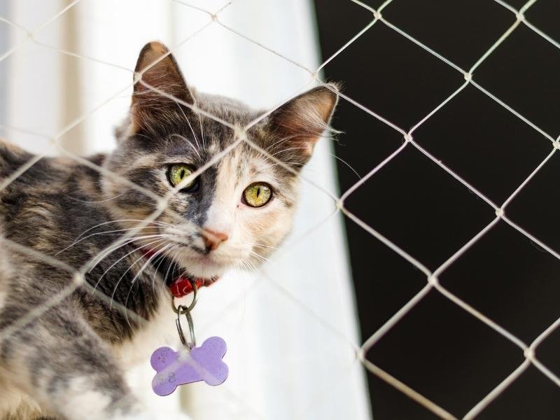 Telas de proteção para playgrounds em Joinville