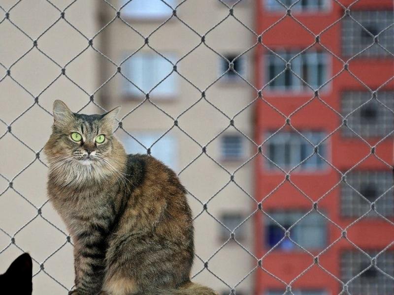 Rede de proteção para sua casa em Joinville