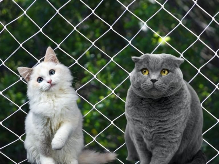 Redes de segurança para escolas em Joinville