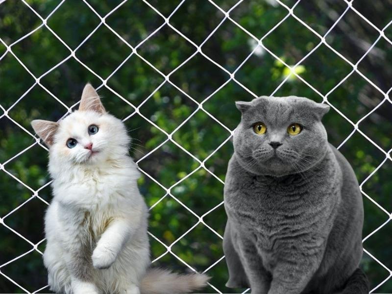 Redes de segurança para escolas em Joinville