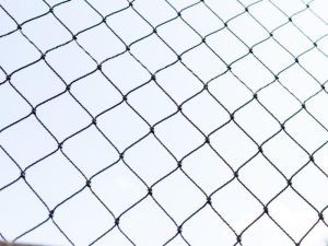 Redes de segurança para Gatos em Joinville