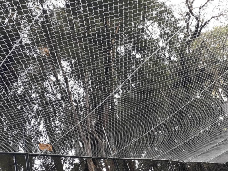 Rede protetiva para Janelas, Sacadas e Piscinas em Garuva Rede protetiva para Janelas, Sacadas e Piscinas em Garuva