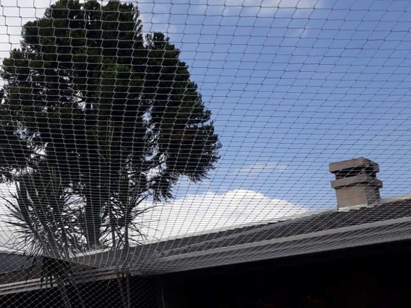 Telas de Proteção Para Piscinas em Araquari Telas de Proteção Para Piscinas em Araquari
